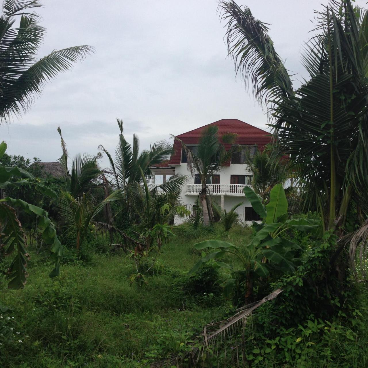 Crim Wind Freedom Hotel Jambiani  Exterior photo