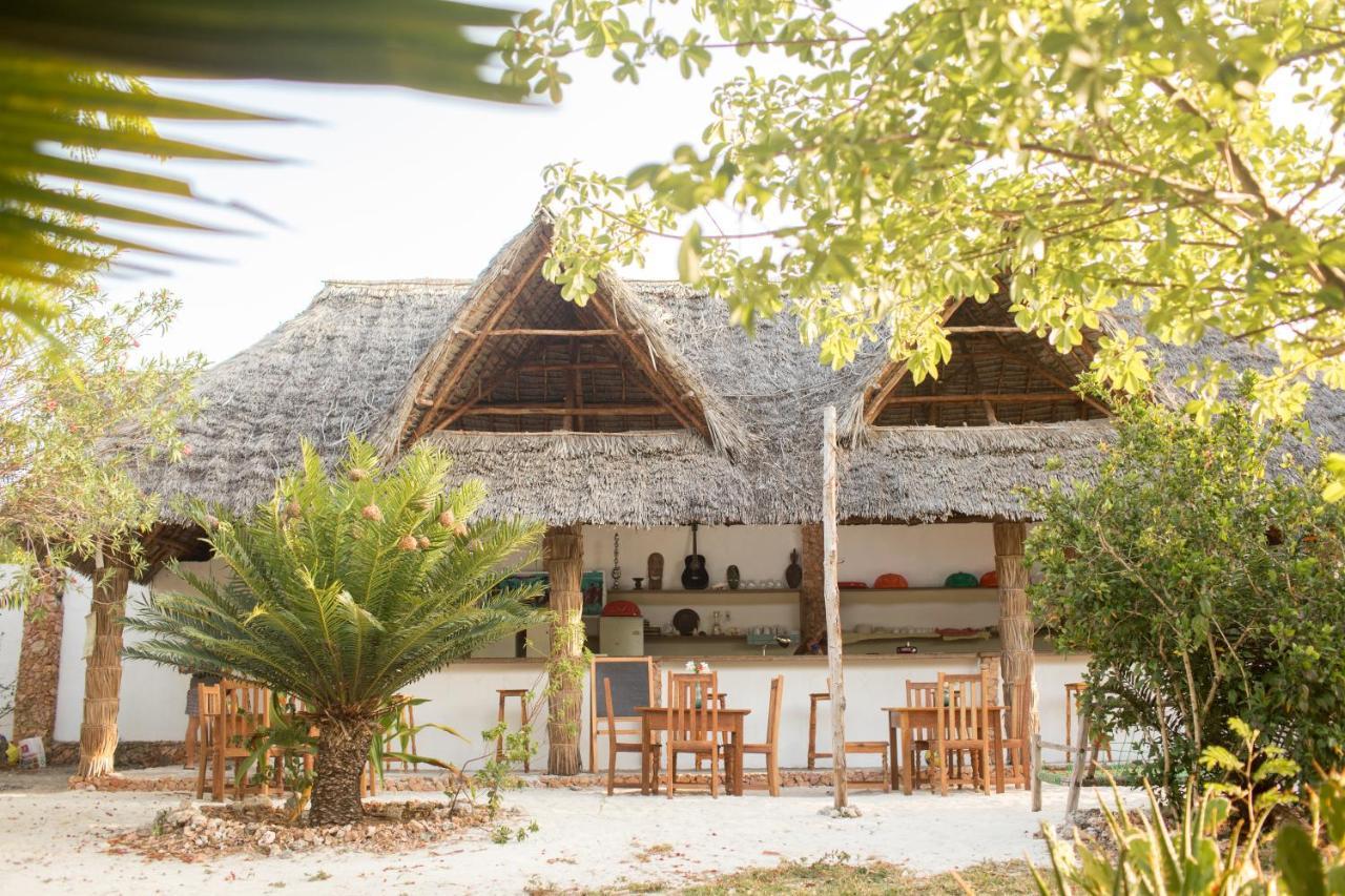 Crim Wind Freedom Hotel Jambiani  Exterior photo